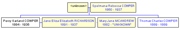 Mini tree diagram