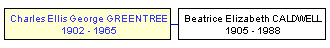 Mini tree diagram